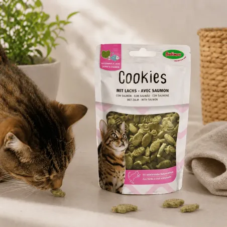 Galletas para gatos con hierba gatera y salm&oacute;n &ndash; forma de pez &ndash; 50 g