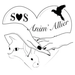 Spendenkarte zugunsten der Tiere – „SOS Anim'Allier“