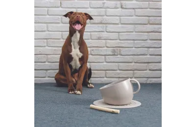 Anti-spat drinkbak voor hond taupe met antislipmat &ndash; bekerdesign - United Pets