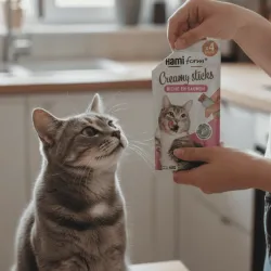 Pack 4 friandises cr&eacute;meuses pour chats au saumon &ndash; Creamy Sticks (60 g) - Hamiform