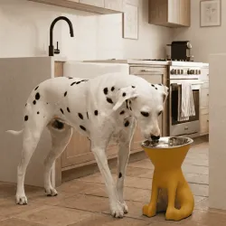 Cuenco elevado de dise&ntilde;o para perro con bol de acero inoxidable extra&iacute;ble &ndash; 1100 ml