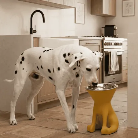 Gamelle sur&eacute;lev&eacute;e design pour chien avec bol inox amovible &ndash; 1100 ml
