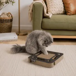Jeu attrape balles et griffoir pour chats - Forme Carr&eacute;e (noir ou blanc)