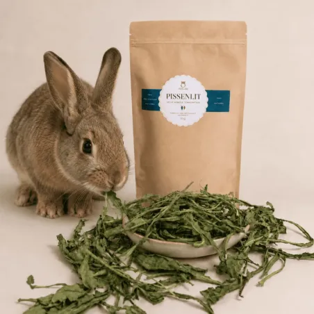 Tarassaco essiccato per conigli &ndash; Snack naturale ricco di fibre | Merlin&Cie