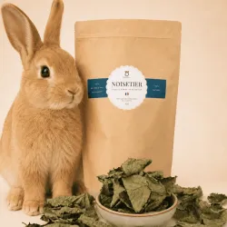 Feuilles de noisetier s&eacute;ch&eacute;es Merlin&Cie &ndash; Friandise v&eacute;g&eacute;tale naturelle pour lapins et petits herbivores