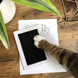 Pfotenabdruck Hund Katze + Rahmen | Erinnerungsset