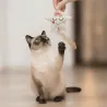 Ensemble cadeau chat Plaisir d&rsquo;offrir | Bien-&ecirc;tre, souvenir & jouets