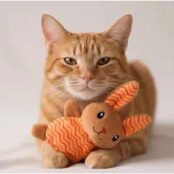 Pack jouets chat &ndash; 16 jouets avec cataire et plumes