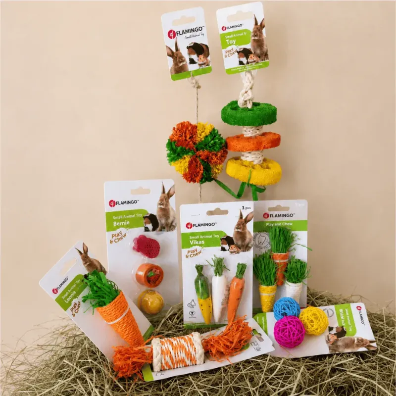 Coffret jouets pour lapin &ndash; Mettre de la couleur dans son quotidien &ndash; 8 jouets &agrave; ronger et d&rsquo;enrichissement