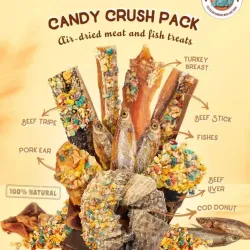 Pack gourmandises festives pour chien | Merlin&Cie