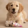 Pack dolcetti festivi per cani | Merlin&Cie