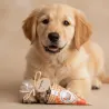 Pack dolcetti festivi per cani | Merlin&Cie