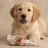 Festliche Leckereien f&uuml;r Hunde | Merlin&Cie