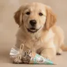 Pack dolcetti festivi per cani | Merlin&Cie