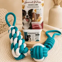 Large Dog Training Pack &ndash; The Essentials Size L