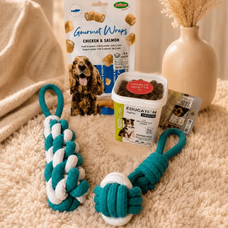 Pack &Eacute;ducation Chien Moyen &ndash; Les Essentiels Taille M