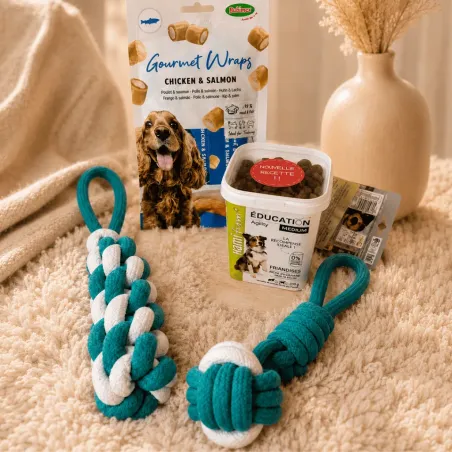 Pack &Eacute;ducation Chien Moyen &ndash; Les Essentiels Taille M