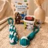 Pack &Eacute;ducation Chien Moyen &ndash; Les Essentiels Taille M