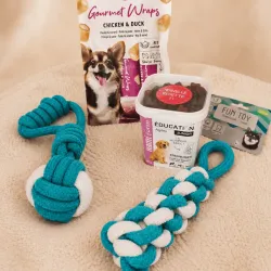 Pack Educazione Piccolo Cane &ndash; Gli Essenziali Taglia S