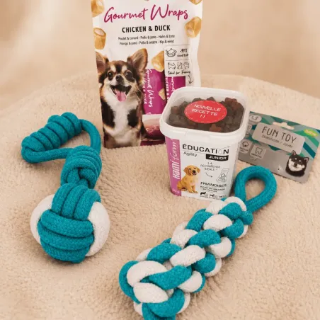 Trainingspakket Kleine Hond &ndash; De Essentials Maat S