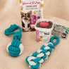 Pack &Eacute;ducation Petit Chien &ndash; Les Essentiels Taille S