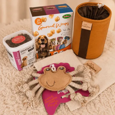 Pack &Eacute;ducation Petit Chien &ndash; Premium Taille S
