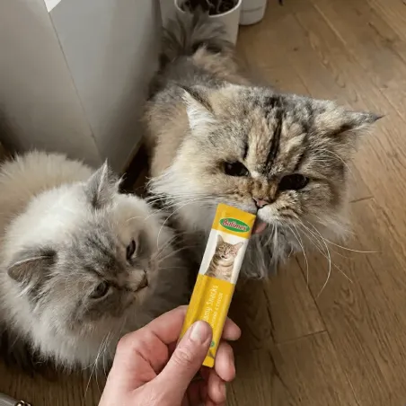 Anti-Gaspi : Friandises cr&eacute;meuses pour chat &ndash; Poulet & fromage &ndash; x4 (60 g)