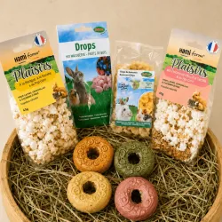 Piaceri Festivi &ndash; Assortimento goloso per conigli (4 sacchetti + 4 donuts)