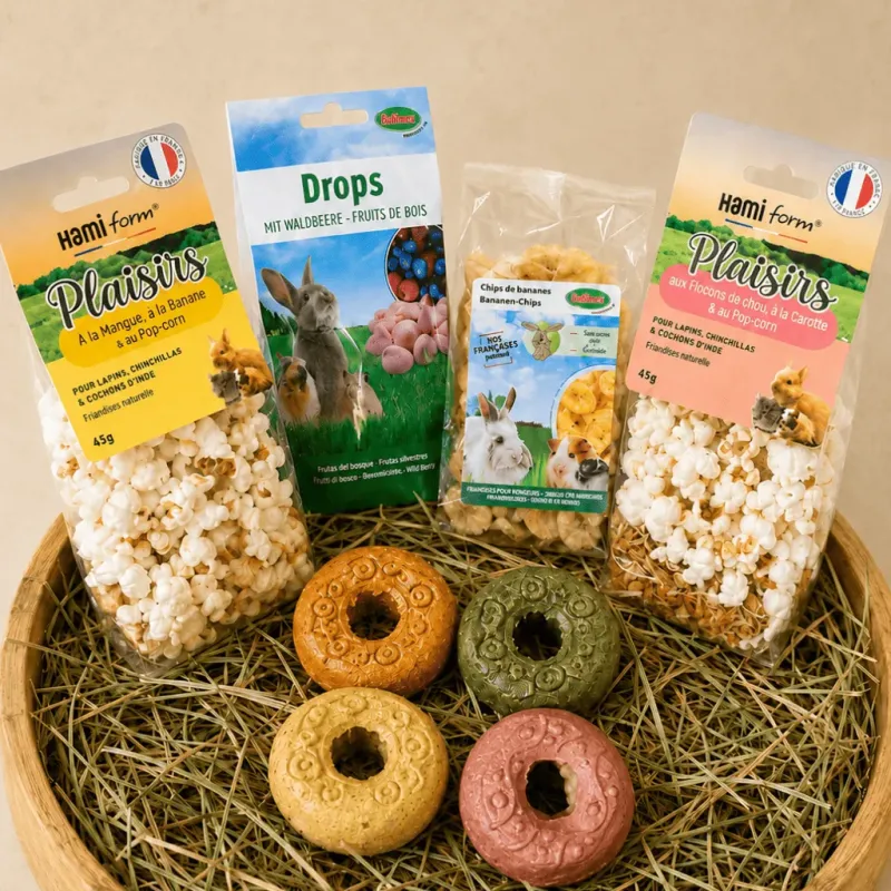 Placeres Festivos &ndash; Surtido gourmet para conejos (4 bolsas + 4 donuts)
