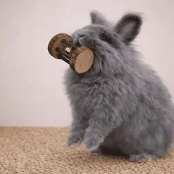 Play Champions &ndash; Toy Assortment for Rabbits