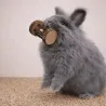 Play Champions &ndash; Toy Assortment for Rabbits