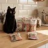 Pack Gourmand Sp&eacute;cial Saumon | 5 Friandises Premium pour Chats | Snacks au Saumon & D&eacute;lices Cr&eacute;meux