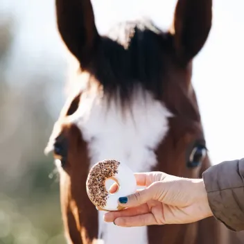 Anti-verspillingspakket Paard 8 Bloemendonuts -40% | Merlin & Cie