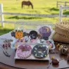 Anti-Waste Decorated Horse Treat Box &ndash; Colourful & Fantasy Edition