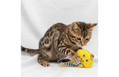 Jouet pour Chats &ndash; Poulpe Jaune avec Clochette, Cataire & Rubans