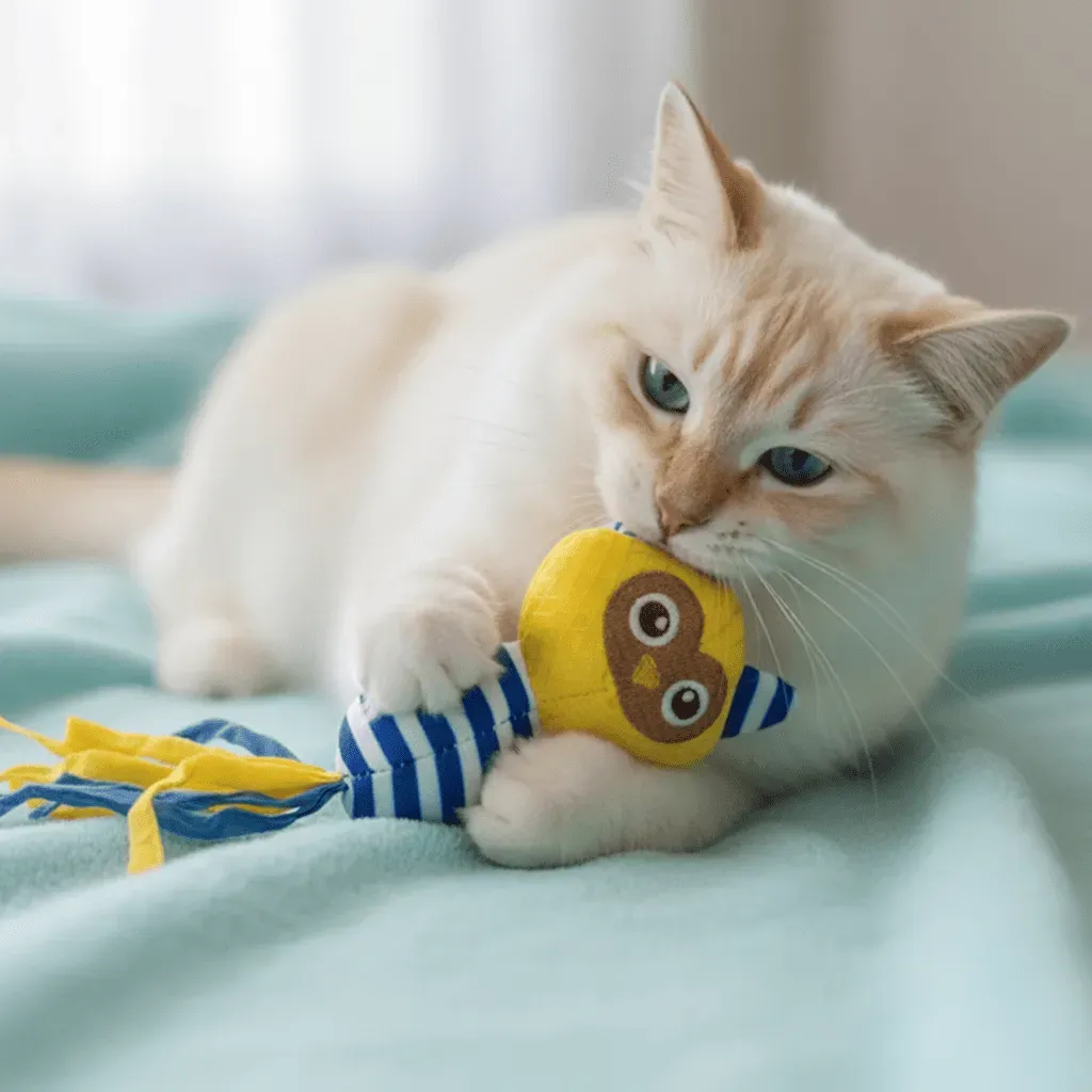 Jouet pour Chats &ndash; Hibou Jaune avec Cataire & Rubans