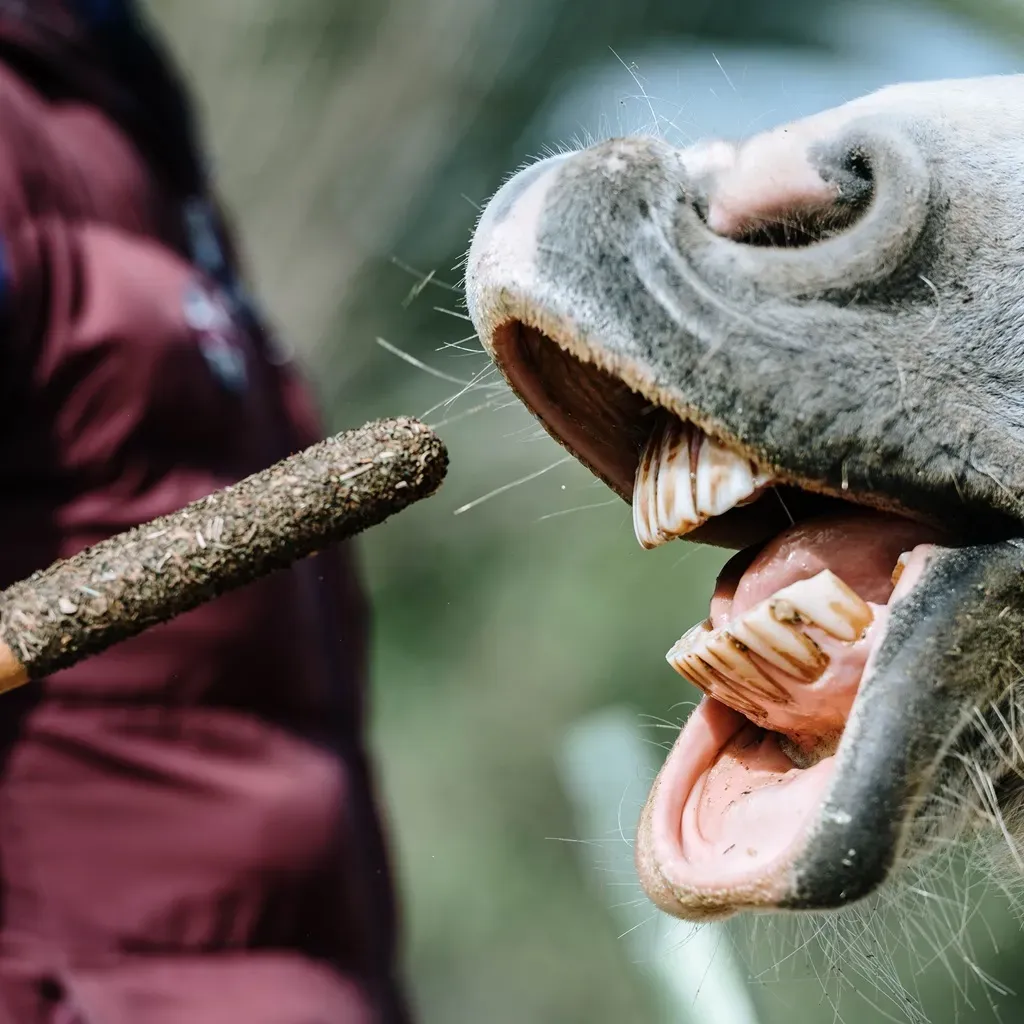 Paardensnacks &ndash; 6 Kruidstokken met Natuurlijke Ingredi&euml;nten | Merlin&Cie