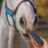 Gourmet-Keks f&uuml;r Pferde &ndash; &Eacute;clair Kornblume mit Glasur & Kr&auml;utern - Candy Horse