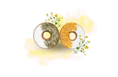 Leckerlis f&uuml;r Pferde &ndash; Donuts Petersilie & Ringelblume (2er-Set) - Candy Horse