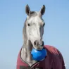 Jouet pour Chevaux &ndash; Balle d&rsquo;occupation Bleue