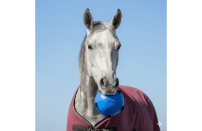 Jouet pour Chevaux &ndash; Balle d&rsquo;occupation Bleue