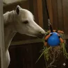 Jouet pour Chevaux &ndash; Balle d&rsquo;occupation Bleue