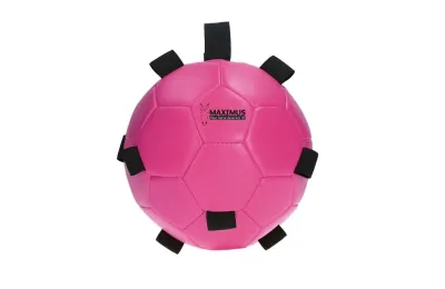 Pelota de Ocio para Caballos &ndash; Excellent Horse Fun