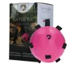 Horse Activity Ball with Fill Options | Hangable Pink Toy | Excellent Horse