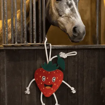 Paardenspeeltje Aardbei &ndash; Stevig Leren Speelgoed voor Actieve Paarden | Merlin&Cie