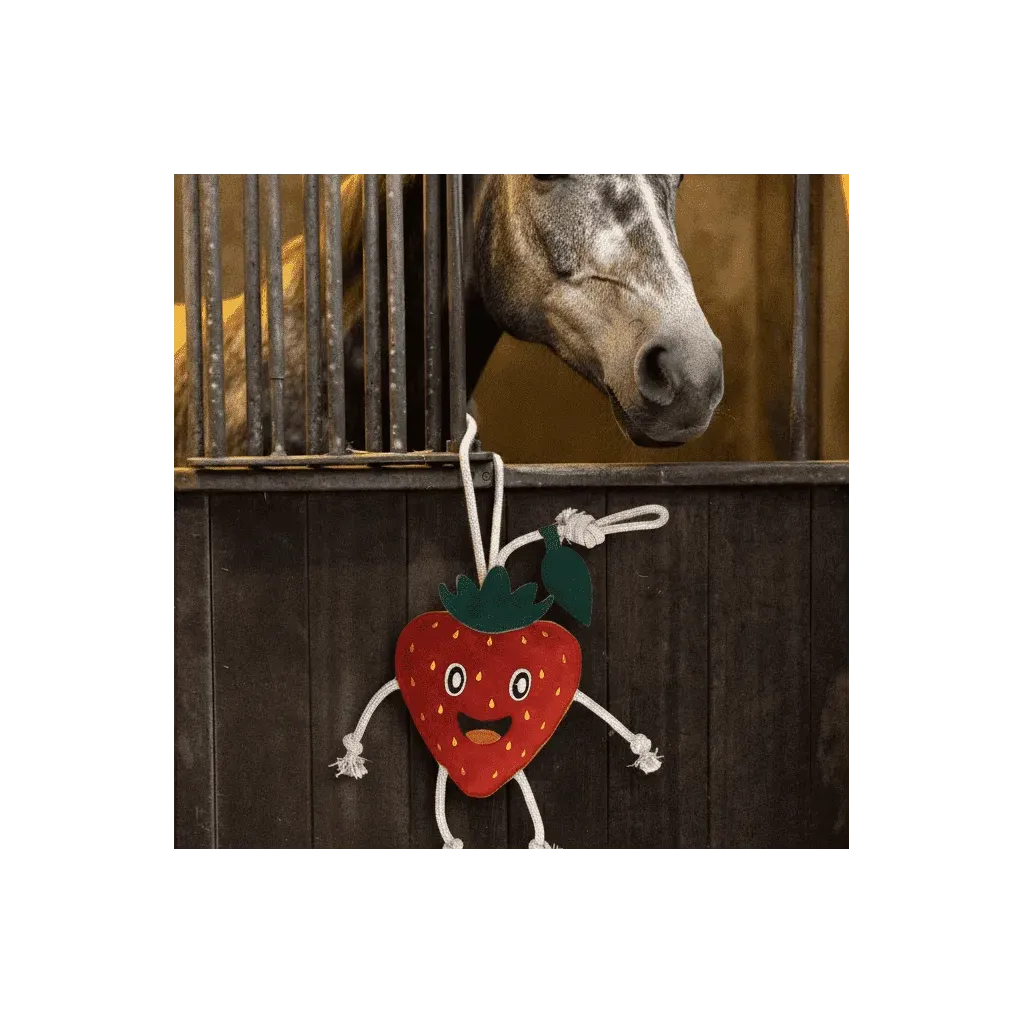 Jouet pour Chevaux Fraise &ndash; Sp&eacute;cial Box