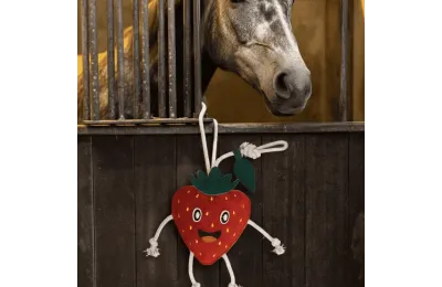 Jouet pour Chevaux Fraise &ndash; Sp&eacute;cial Box