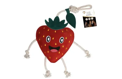 Jouet pour Cheval Fraise &ndash; Foodie Friends Excellent Horse