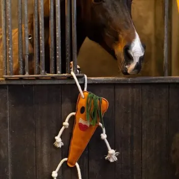 Pferdespielzeug M&ouml;hre &ndash; Foodie Friends Excellent Horse