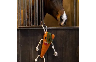 Jouet pour Chevaux Carotte &ndash; Sp&eacute;cial Box